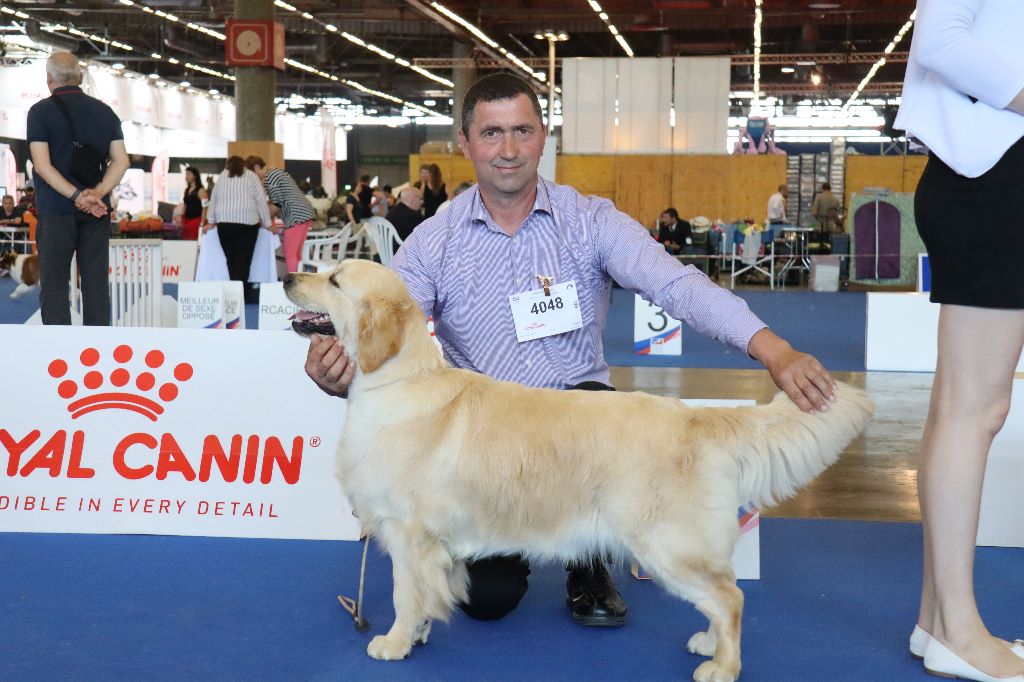 De La Légende d'Arduinna - Nikita au championnat de France à villepinte 2/6/19.