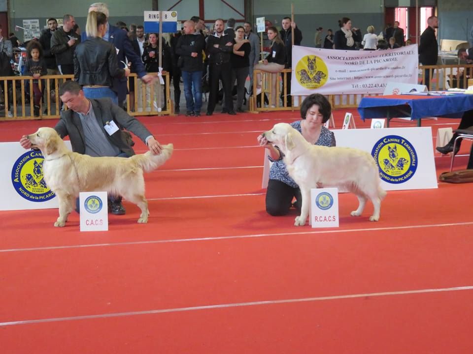 LOLA AMIENS 1ère cl.ouverte RCACS mars 2019